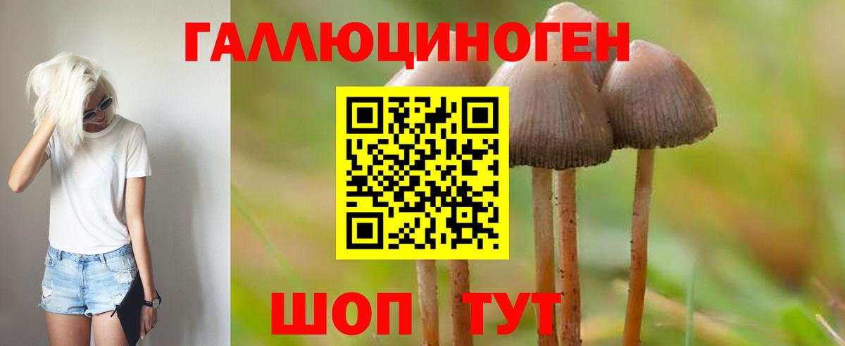 Соликамск  Псилоцибиновые грибы Psilocybe  продажа наркотиков  Вход с VPN 