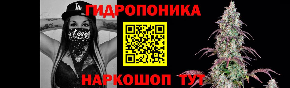 Бошки марихуана сатива  Каннабис конопля  Соликамск  Канабис VHQ  Вход с VPN 